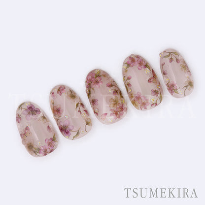 TSUMEKIRA DAISY'S GARDEN SAKURA | NN-DAI-124