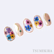 Load image into Gallery viewer, TSUMEKIRA DRIED FLOWER DOUBLE SIDED 2 | NN-DFR-102
