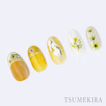 Load image into Gallery viewer, TSUMEKIRA DRIED FLOWER DOUBLE SIDED 3 | NN-DFR-103
