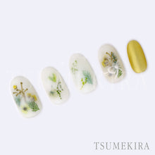 Load image into Gallery viewer, TSUMEKIRA DRIED FLOWER DOUBLE SIDED 3 | NN-DFR-103
