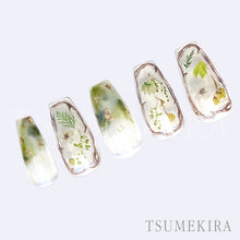 Load image into Gallery viewer, TSUMEKIRA DRIED FLOWER DOUBLE SIDED 3 | NN-DFR-103
