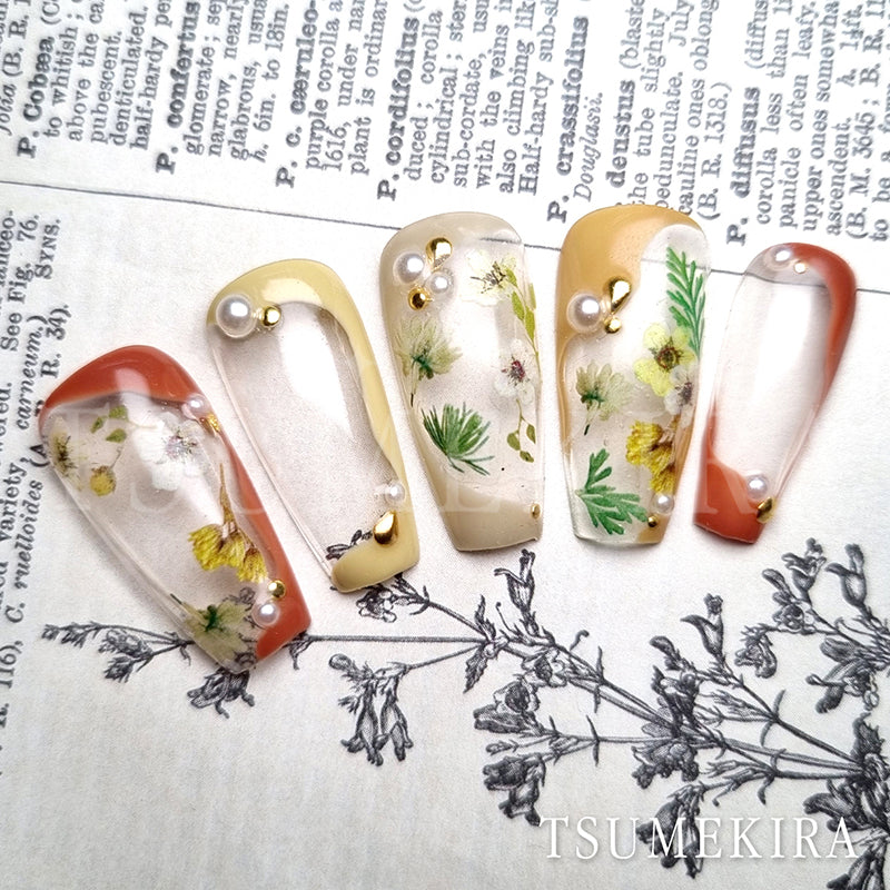 TSUMEKIRA DRIED FLOWER DOUBLE SIDED 3 | NN-DFR-103