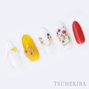 TSUMEKIRA MI-MI × FELICE | NN-MIM-108