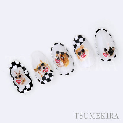 TSUMEKIRA DRESS UP YOUR DOG | NN-YPL-104