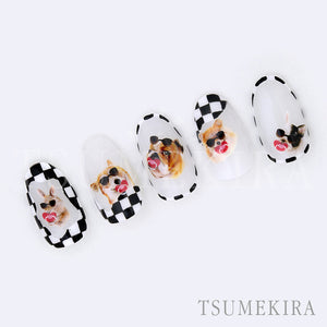 TSUMEKIRA DRESS UP YOUR DOG | NN-YPL-104