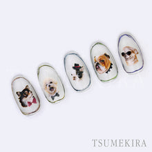 Load image into Gallery viewer, TSUMEKIRA DRESS UP YOUR DOG | NN-YPL-104
