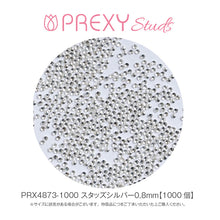 Load image into Gallery viewer, PREXY STUDS SILVER 0.8mm PRX4873
