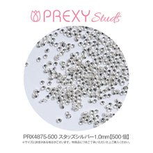 Load image into Gallery viewer, PREXY STUDS SILVER 1.0mm PRX4875

