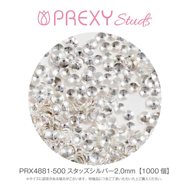 PREXY STUDS SILVER 2.0mm PRX4881