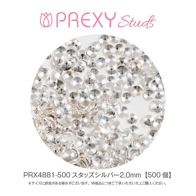 PREXY STUDS SILVER 2.0mm PRX4881