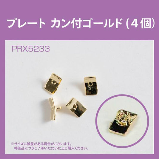 PLATE WITH HOOP GOLD PRX5233