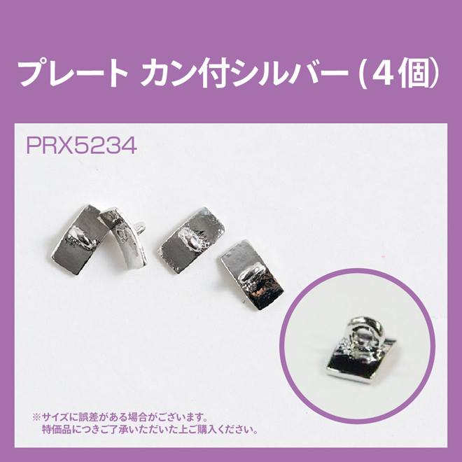 PLATE WITH HOOP SILVER PRX5234