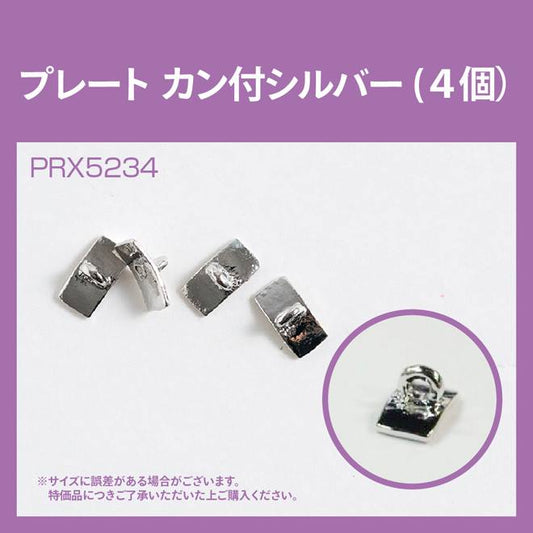 PLATE WITH HOOP SILVER PRX5234