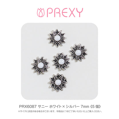 SUNNY WHITE X SILVER