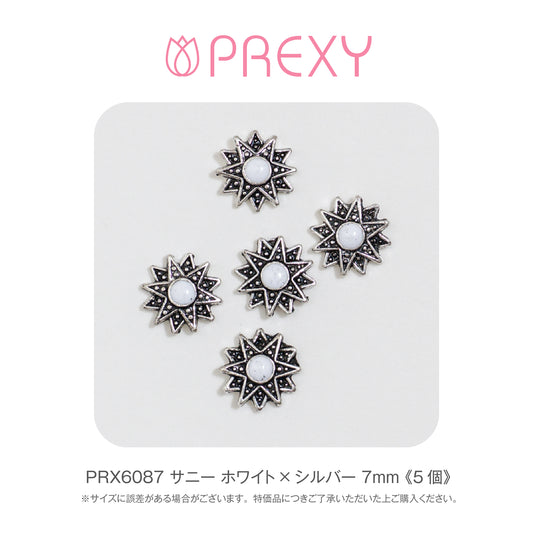 SUNNY WHITE X SILVER