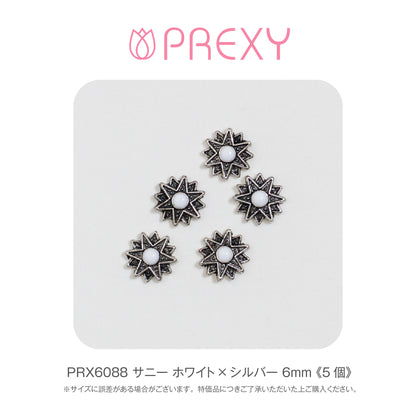 SUNNY WHITE X SILVER