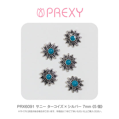 SUNNY TURQUOISE X SILVER