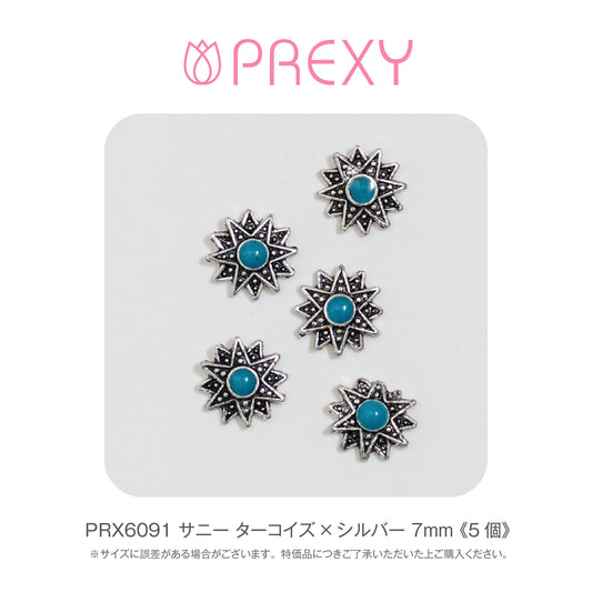 SUNNY TURQUOISE X SILVER