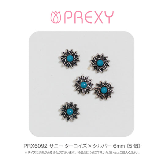 SUNNY TURQUOISE X SILVER