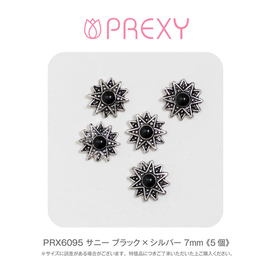 SUNNY BLACK X SILVER