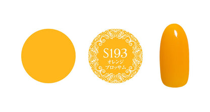 PREGEL MUSE 3.19 NEW COLOR SERIES