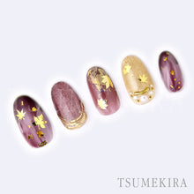 Load image into Gallery viewer, TSUMEKIRA AUTUMN ASSORTMENT GOLD | SG-ALS-102
