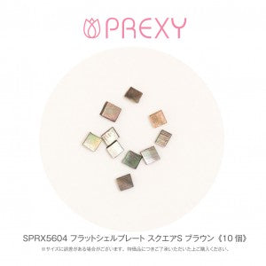 SHELL PLATE FLAT SQUARE (S) BROWN SPRX5604