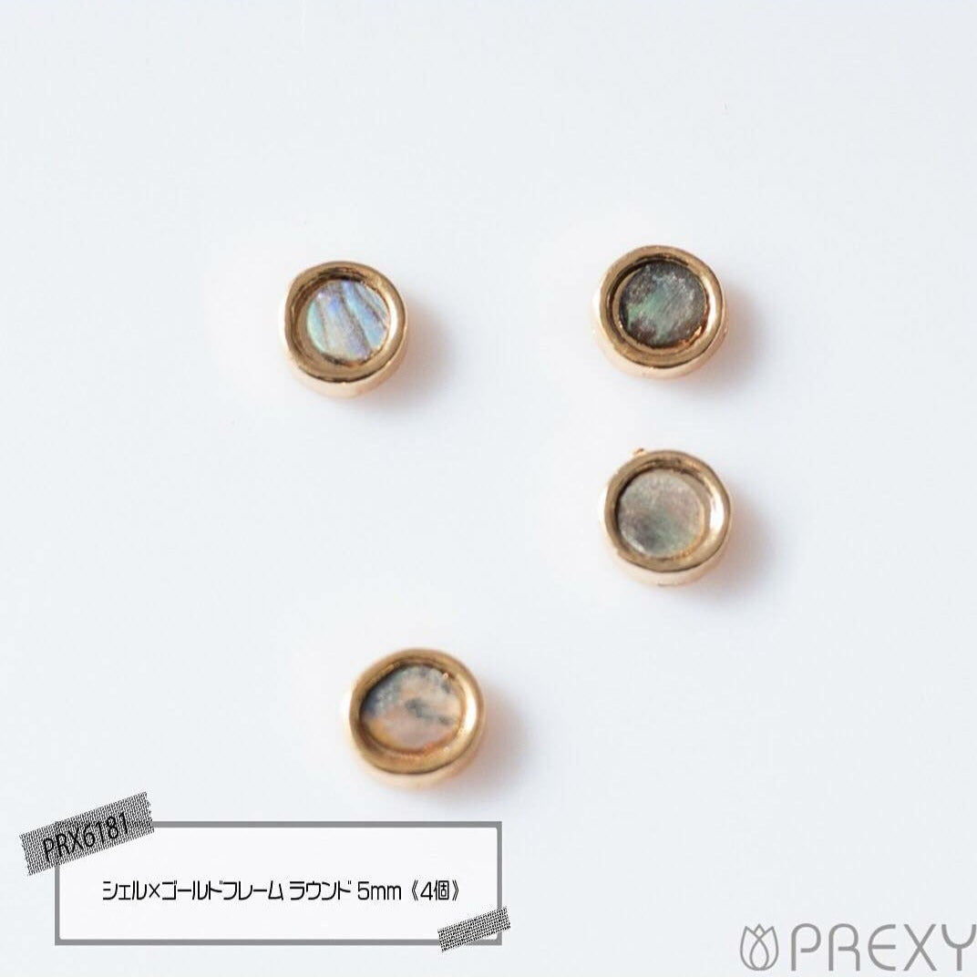 SHELL X GOLD FRAME ROUND PRX6181