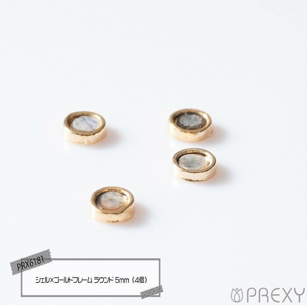 SHELL X GOLD FRAME ROUND PRX6181