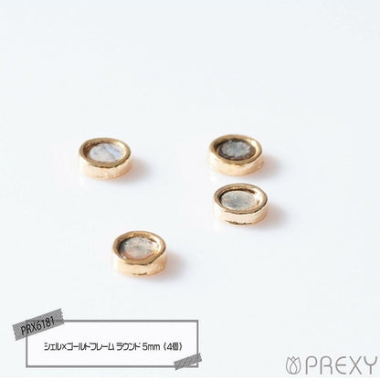 SHELL X GOLD FRAME ROUND PRX6181