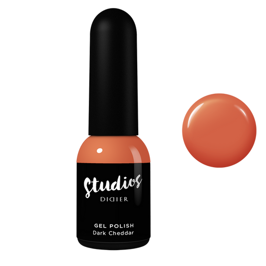 DIDIER STUDIOS - DARK CHEDDAR #121