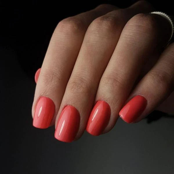 DIDIER STUDIOS - TROPICANA #036