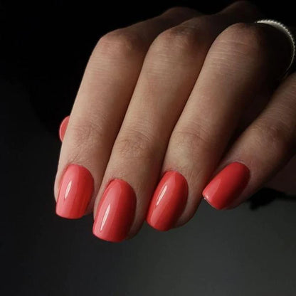 DIDIER STUDIOS - TROPICANA #036