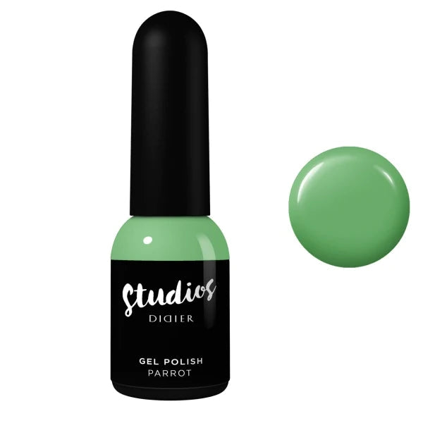 DIDIER STUDIOS - PARROT #125