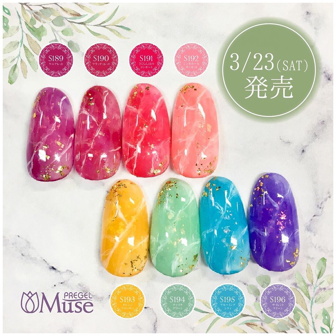 PREGEL MUSE 3.19 NEW COLOR SERIES