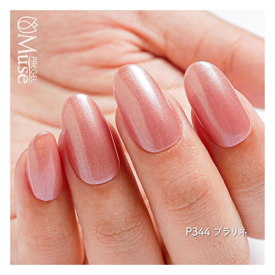 PREGEL MUSE P344 PRALINE