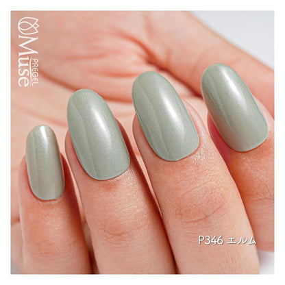 PREGEL MUSE P346 ELM