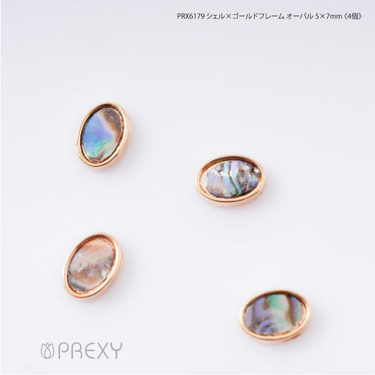 SHELL X GOLD FRAME OVAL PRX6179