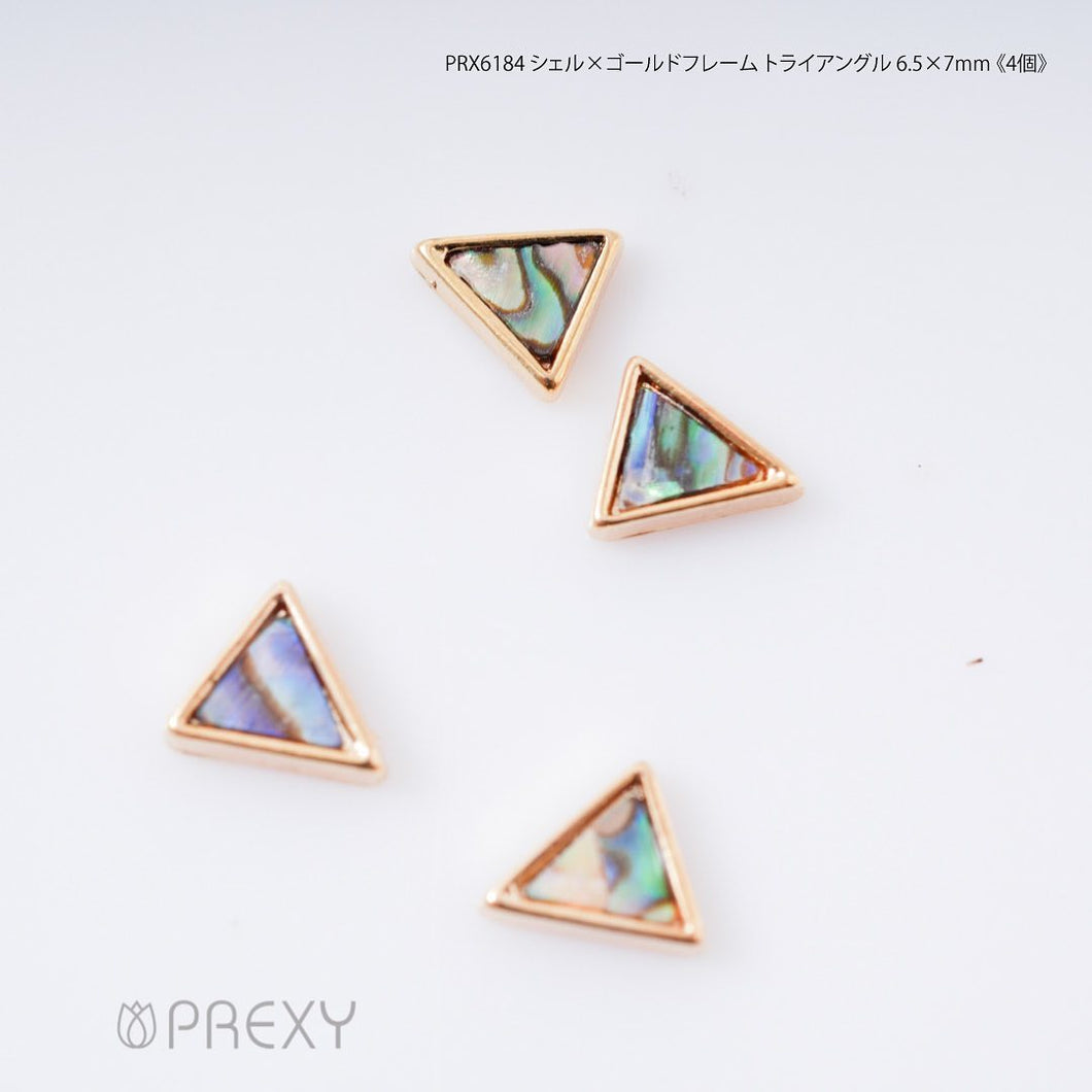 SHELL X GOLD FRAME TRIANGLE PRX6184