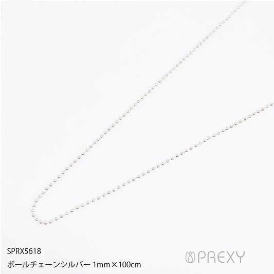 BALL CHAIN SILVER SPRX5618