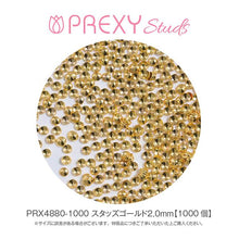 Load image into Gallery viewer, PREXY STUDS GOLD 2.0mm PRX4880
