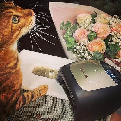 4TH GEN RUYIYA 36W LED LAMP (RECHARGEABLE) - BLACK