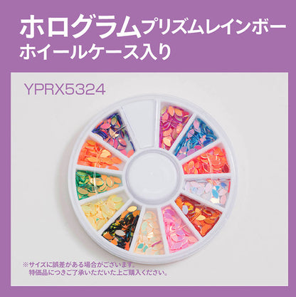 HOLOGRAM PRISM RAINBOW WHEEL CASE YPRX5324